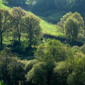 Creuse landscape