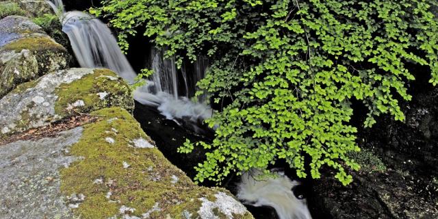 Cascades des Jarrauds à St Martin Château