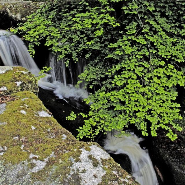 Cascades des Jarrauds à St Martin Château