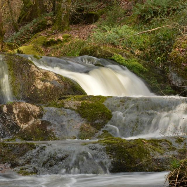 Cascade sur la randonnée du Bois des Boeufs