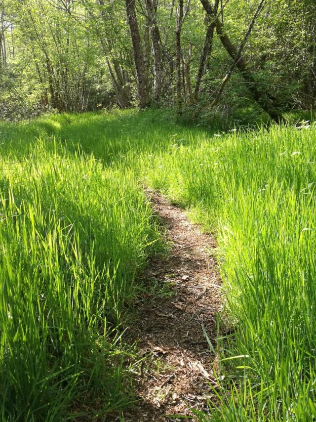 Chemin Le Bois Des Boeufs