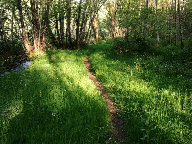 Chemins Le Bois Des Boeufs