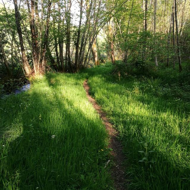 Chemins Le Bois Des Boeufs