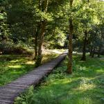 Passerelle en bois menant à la tourelle dans les gorges du Verger à Bourganeuf