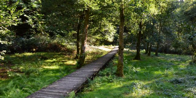 Passerelle en bois menant à la tourelle dans les gorges du Verger à Bourganeuf