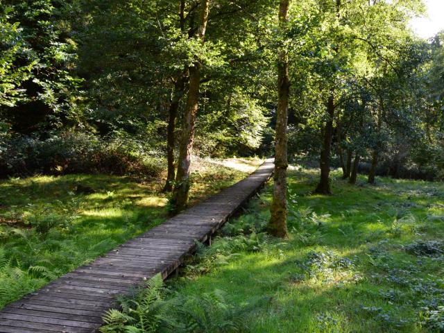 Passerelle en bois menant à la tourelle dans les gorges du Verger à Bourganeuf