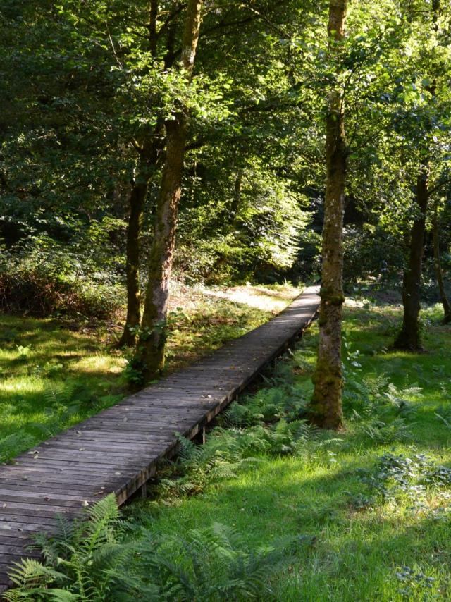 Passerelle en bois menant à la tourelle dans les gorges du Verger à Bourganeuf