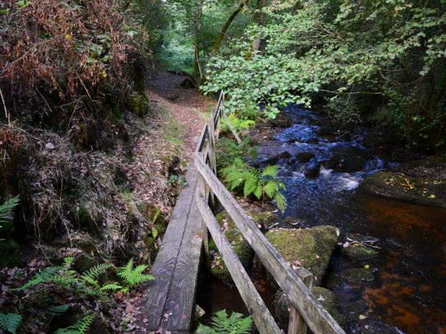 Barrière en bois dans les gorges du Verger, Bourganeuf