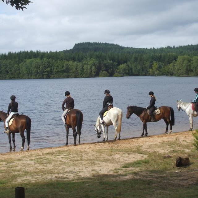 Equitation en Creuse