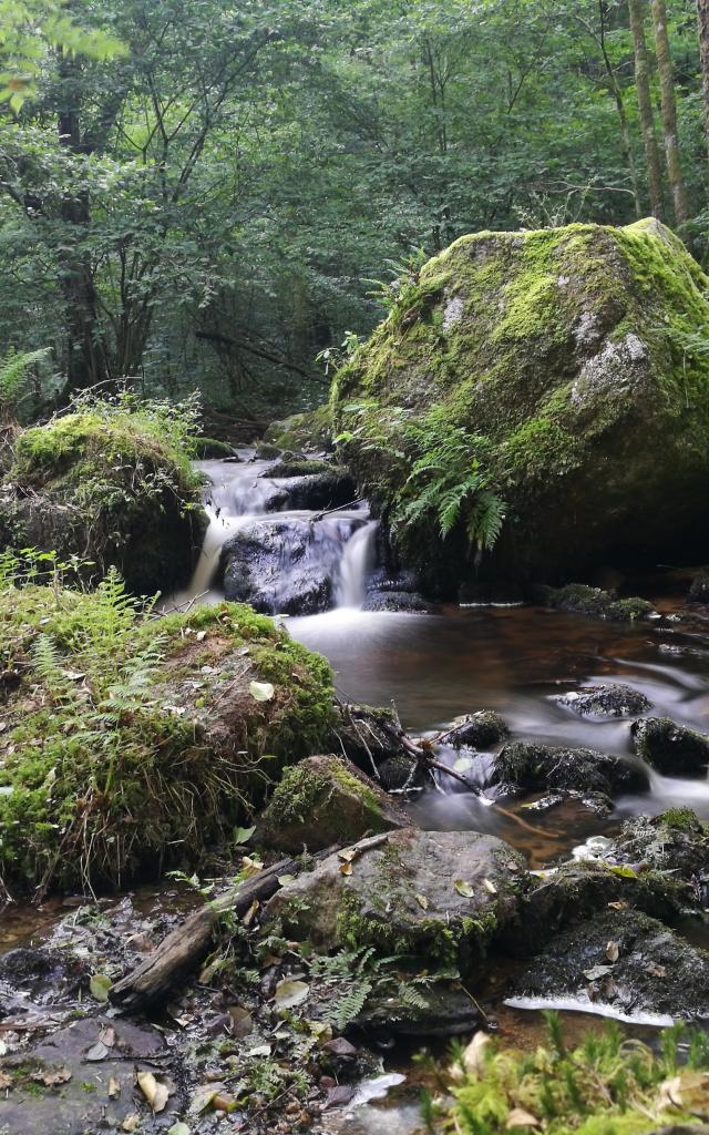 Blocs granitiques sur la rivière du Verger, dans les gorges du Verger à Bourganeuf