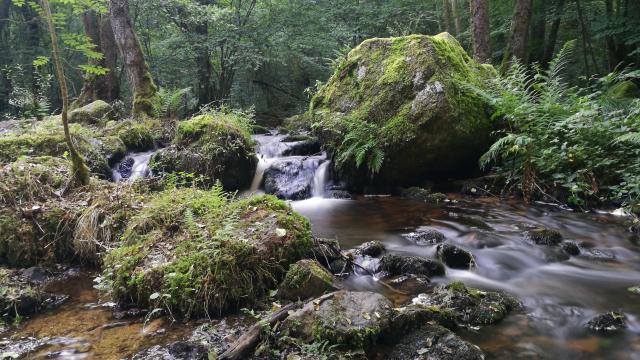 Blocs granitiques sur la rivière du Verger, dans les gorges du Verger à Bourganeuf