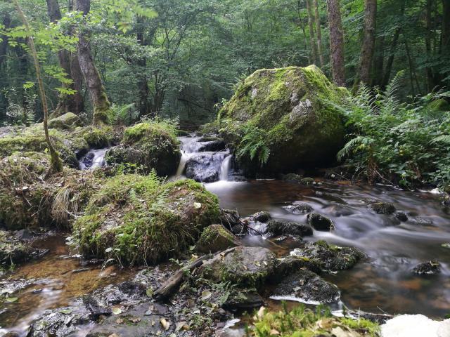 Blocs granitiques sur la rivière du Verger, dans les gorges du Verger à Bourganeuf