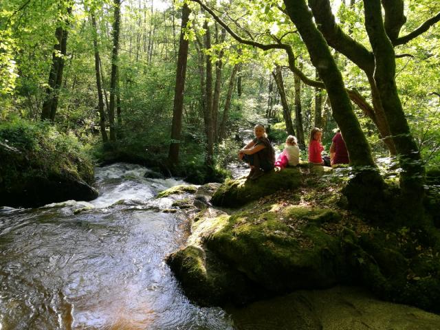 Randonée Le Bois Des Boeufs