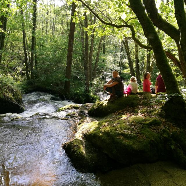 Randonée Le Bois Des Boeufs