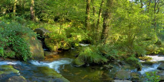 Panoramique des cascades d'Augreolles à Saint Pardoux Morterilles