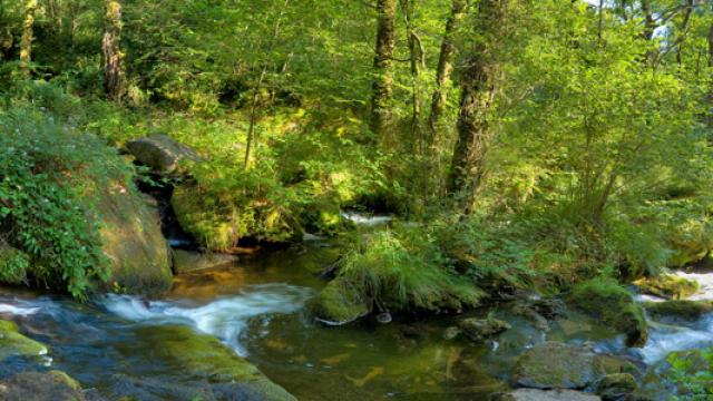 Panoramique des cascades d'Augreolles à Saint Pardoux Morterilles