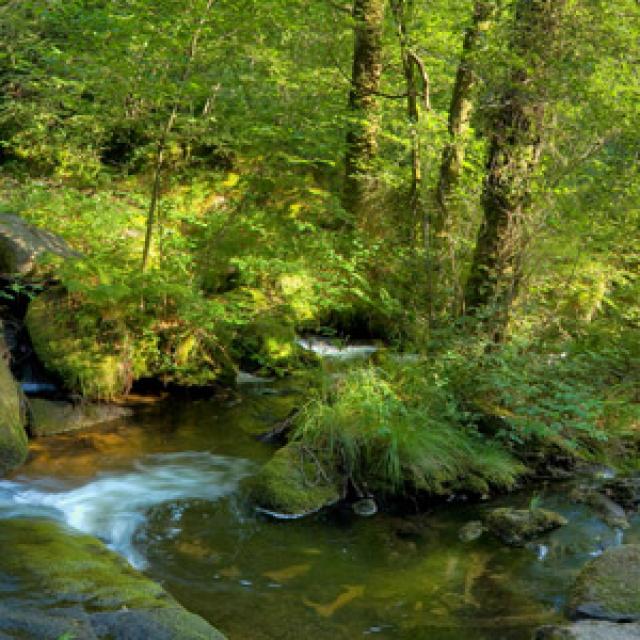 Panoramique des cascades d'Augreolles à Saint Pardoux Morterilles