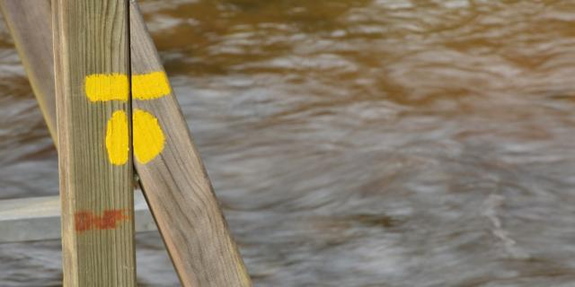 Trace jaune sur la randonnée du Bois des Boeufs