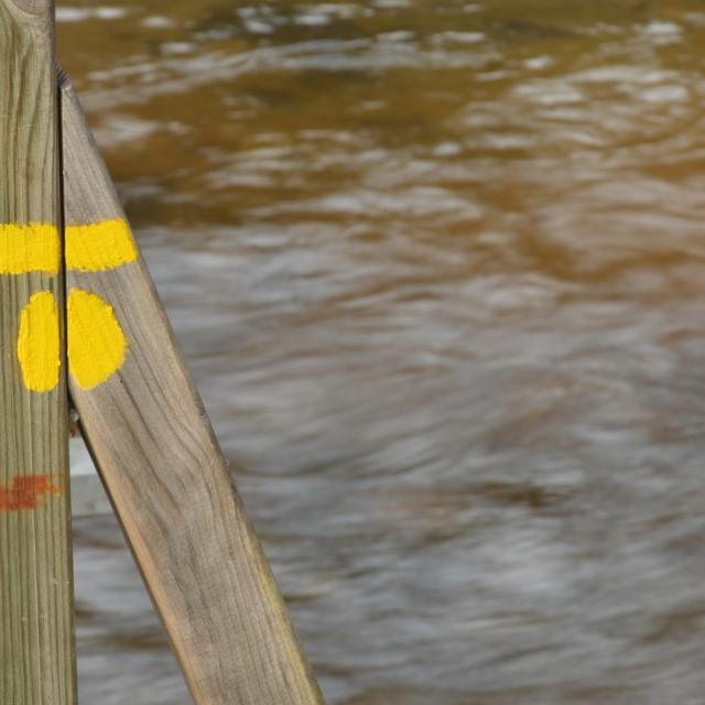 Trace jaune sur la randonnée du Bois des Boeufs