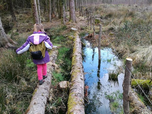 Traversée Le Bois Des Boeufs