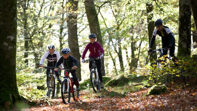 Randonnée VTT en forêt