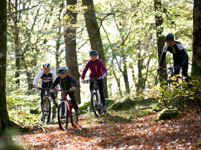 Randonnée VTT en forêt