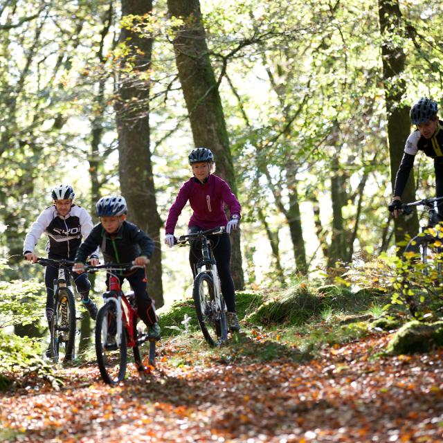 Randonnée VTT en forêt