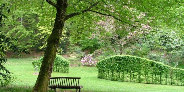 Arboretum de la Sedelle à Crozant