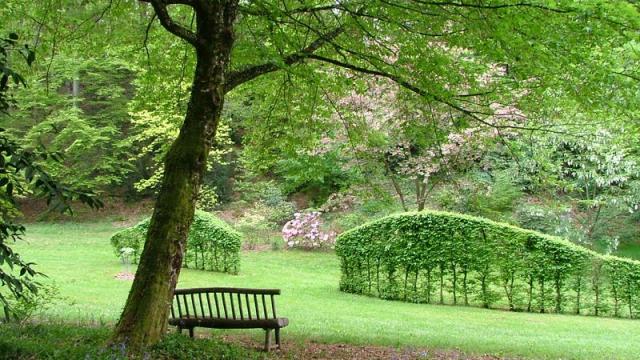 Arboretum de la Sedelle à Crozant