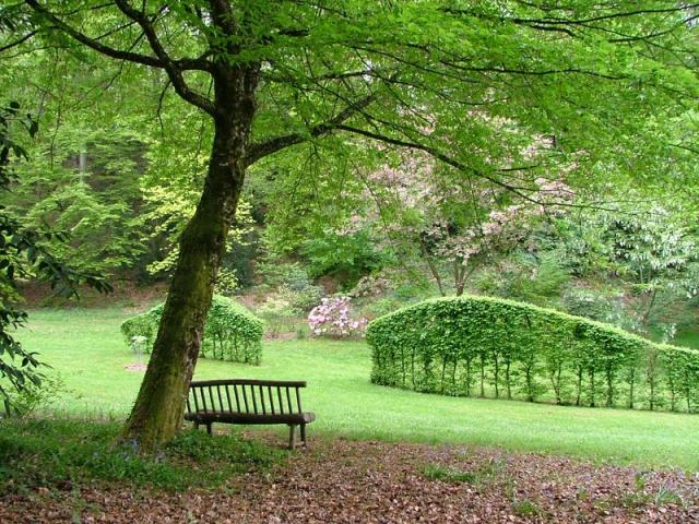 Arboretum de la Sedelle à Crozant