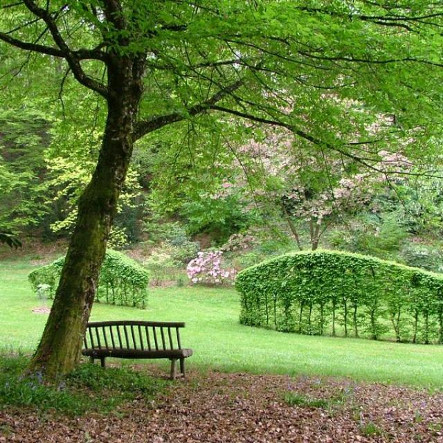 Arboretum de la Sedelle à Crozant