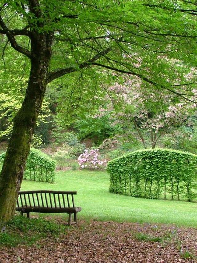 Arboretum de la Sedelle à Crozant