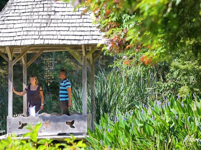 Arboretum de la Sedelle à Crozant