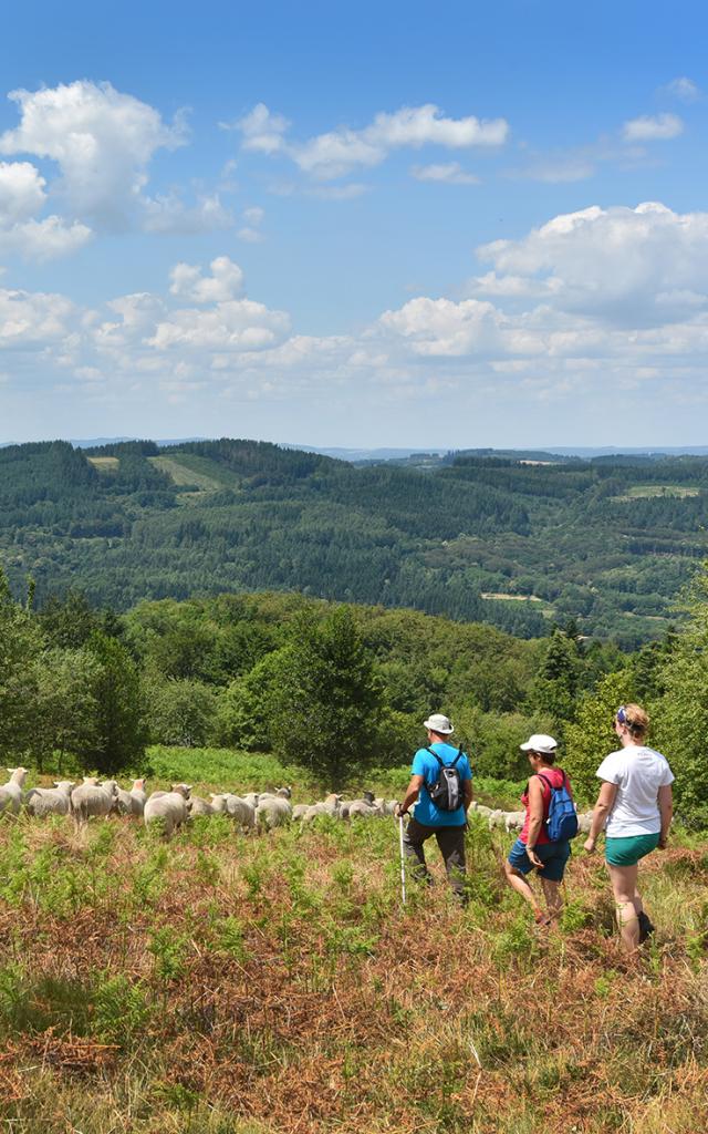 Randonnée dans les landes d'Augerolles