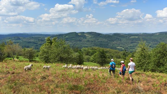 Randonnée dans les landes d'Augerolles