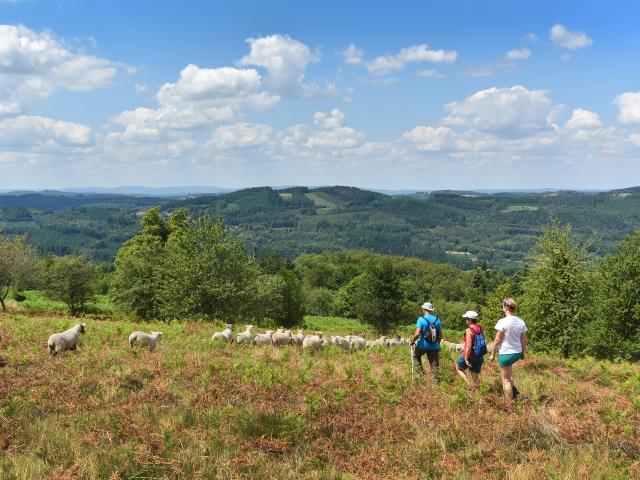 Randonnée dans les landes d'Augerolles