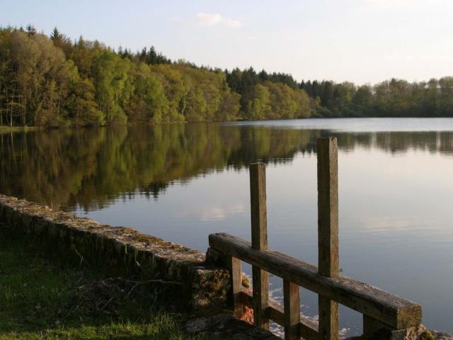 Etang De La Foret Chénérailles©j. Damase Adrt23