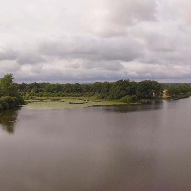 Etang des Landes