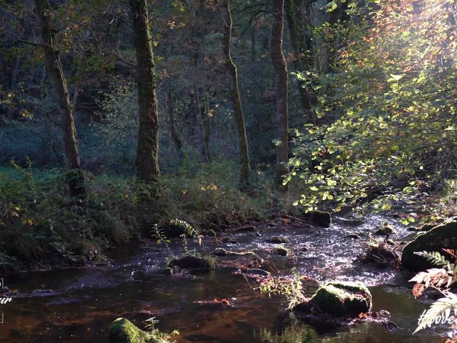 Gorges du Verger