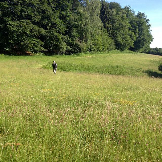 Marc Pouyet landart Creuse