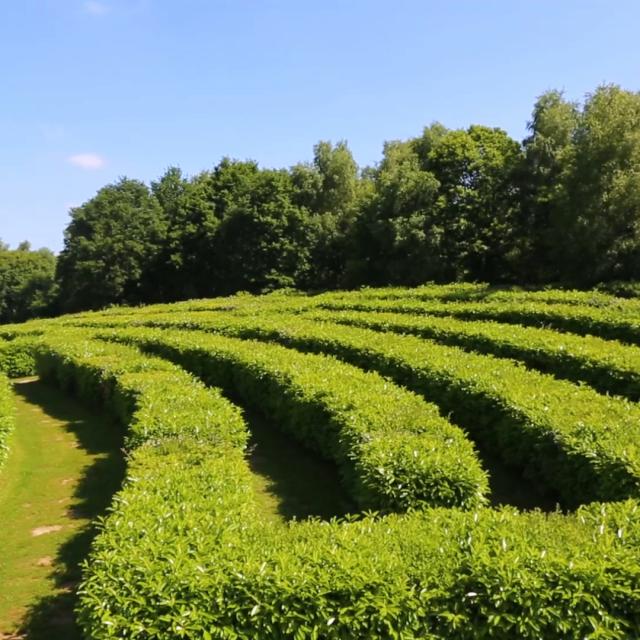 Labyrinthe Géant de Guéret