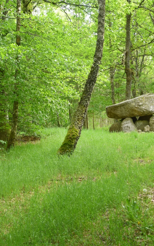 Dolmen d'Urbe à Crocq