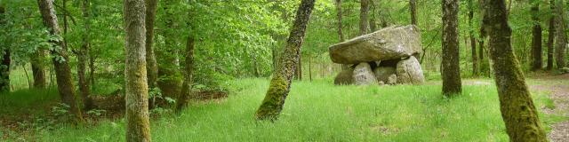 Dolmen d'Urbe à Crocq