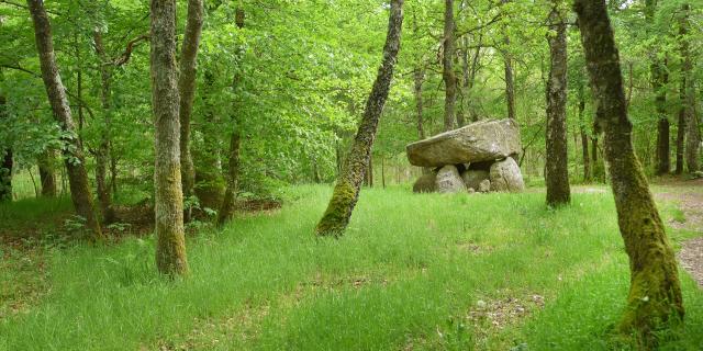 Dolmen d'Urbe à Crocq