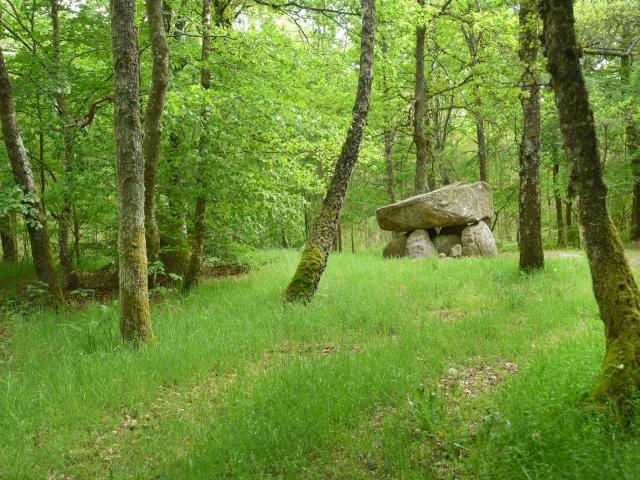 Dolmen d'Urbe à Crocq