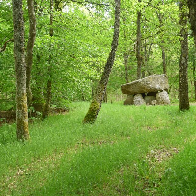 Dolmen d'Urbe à Crocq