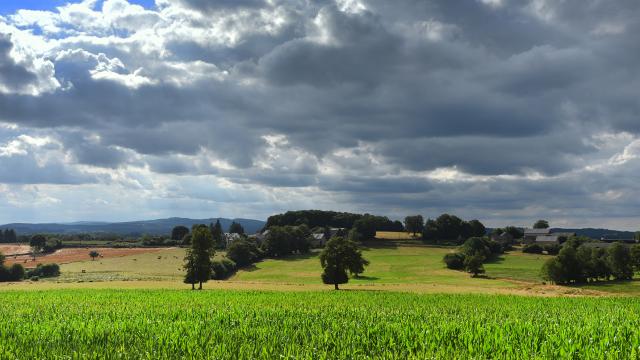 Nature sauvage vers Bourganeuf