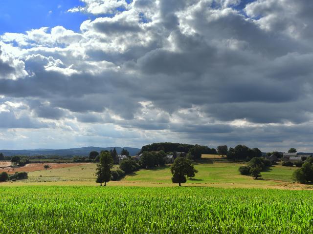 Nature sauvage vers Bourganeuf