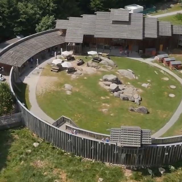 Loups de Chabrières en Creuse