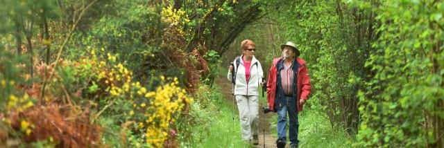 Randonnée pédestre dans la Creuse